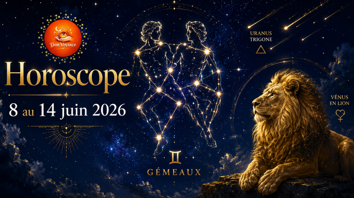 signe constellation g&eacute;meaux et lsigne du lion