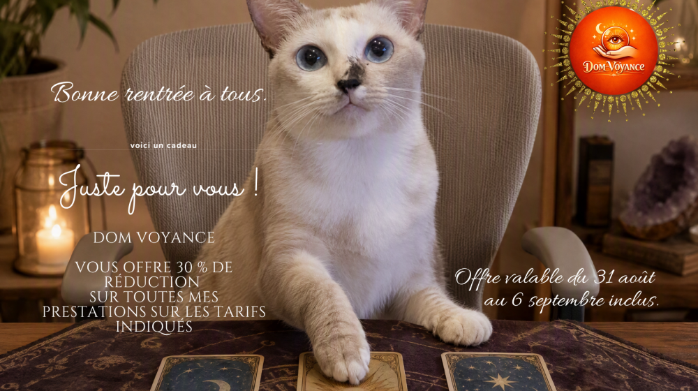 Chat avec des cartes de tarots de voyance